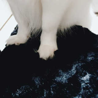 곰같은여우님이 올린 리뷰 사진 4