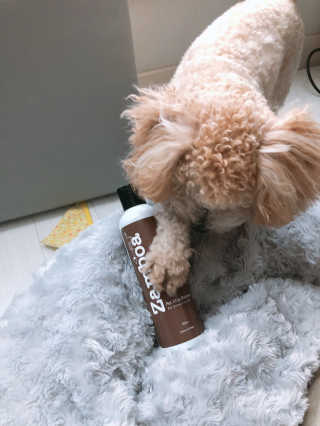 모모님이 올린 리뷰 사진 3