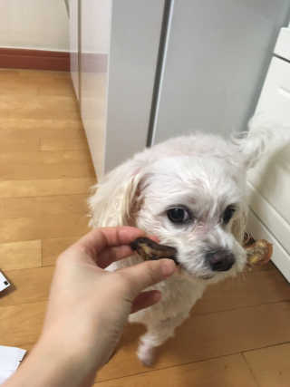 쮸동비님이 올린 리뷰 사진 4