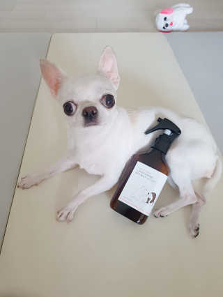 이선영님이 올린 리뷰 사진 3