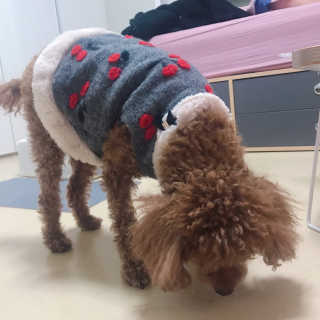 ye0229님이 올린 리뷰 사진 4
