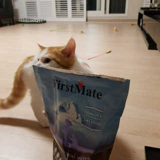 미슝이님이 올린 리뷰 사진 3