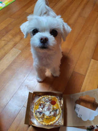 뽀오오옹님이 올린 리뷰 사진 1