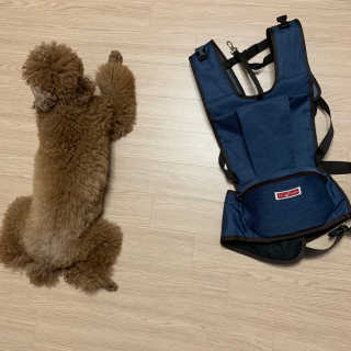 투밍님이 올린 리뷰 사진 1