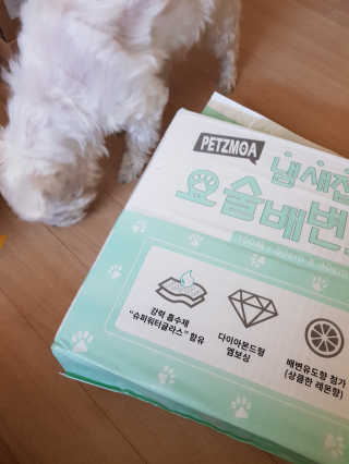페츠모아 냄새잡는 요술배변패드 — 4점을 준 리뷰어가 2020년 2월 올린 사용 사진