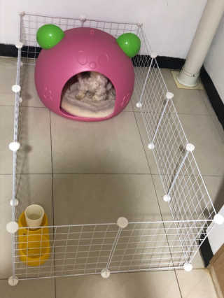 지안교님이 올린 리뷰 사진 3