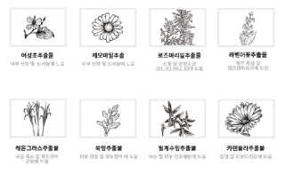 가비님이 올린 리뷰 사진 3