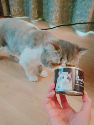 엘카몬님이 올린 리뷰 사진 3