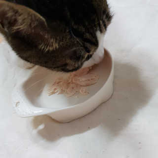 미애님이 올린 리뷰 사진 3