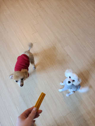 클라쎄님이 올린 리뷰 사진 3