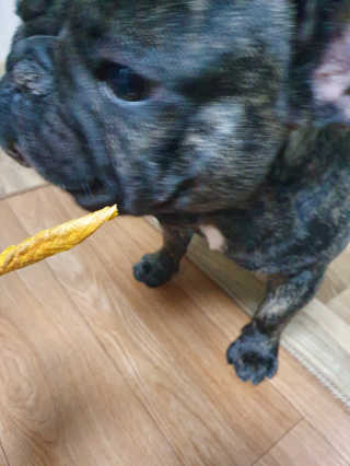 탱크돌콩님이 올린 리뷰 사진 2