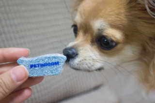 Pethroom 페스룸 PETHROOM DEEP CLEAN BATHBOMB 페스룸 딥클린 배쓰밤 — 5점을 준 리뷰어가 2020년 3월 올린 사용 사진