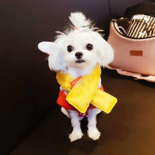 샤탕해님이 올린 리뷰 사진 1