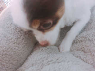아따아따단비님이 올린 리뷰 사진 1