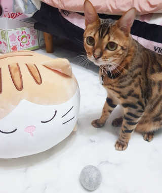효니님이 올린 리뷰 사진 1