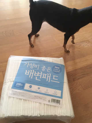 jaehwa님이 올린 리뷰 사진 2