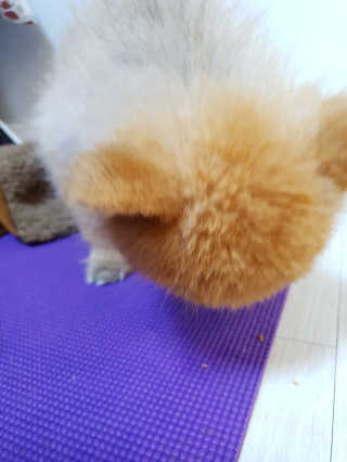성유진님이 올린 리뷰 사진 4