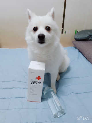 [펫토리아]살균뚝딱 강아지 고양이 살균소독제 탈취제 — 5점을 준 리뷰어가 2019년 10월 올린 사용 사진