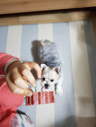 이쁜이님이 올린 리뷰 사진 3