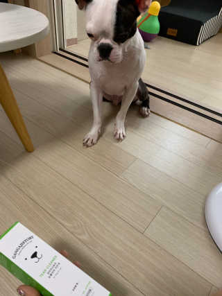 태자님이 올린 리뷰 사진 2