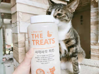 도도쭈님이 올린 리뷰 사진 1