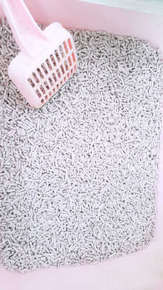 moomoon님이 올린 리뷰 사진 3