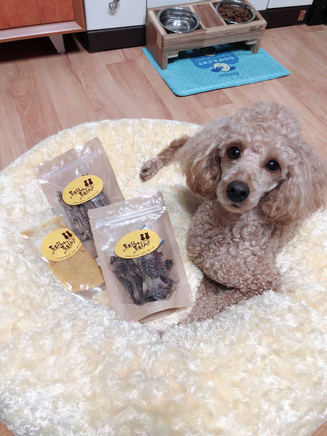 도도하개 도도하냥_프리미엄 수제 간식 리뷰 사진