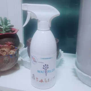 마녀님이 올린 리뷰 사진 1