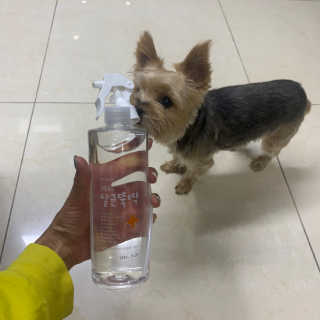 [펫토리아]살균뚝딱 강아지 고양이 살균소독제 탈취제 — 5점을 준 리뷰어가 2019년 10월 올린 사용 사진