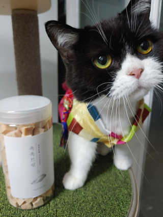 고고고님이 올린 리뷰 사진 1