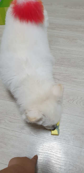희동이님이 올린 리뷰 사진 3
