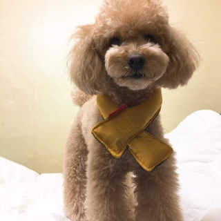 라라님이 올린 리뷰 사진 1