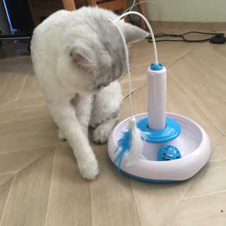 단발소녀님이 올린 리뷰 사진 4