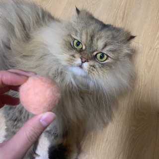 쏘e님이 올린 리뷰 사진 2