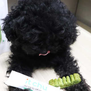 우와한언니님이 올린 리뷰 사진 3
