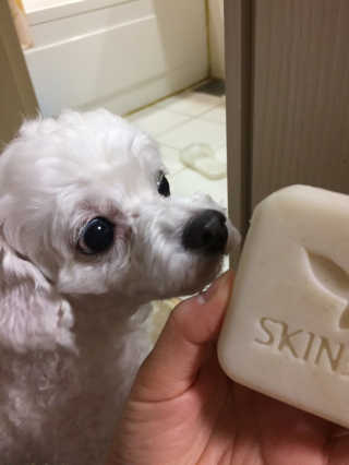 bomnadli님이 올린 리뷰 사진 1