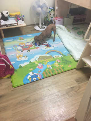 한원희님이 올린 리뷰 사진 2