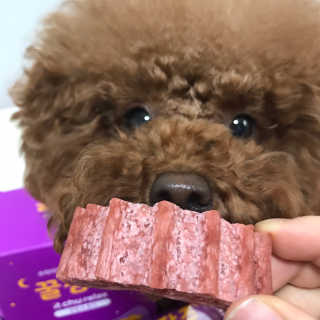 댕댕언니님이 올린 리뷰 사진 2