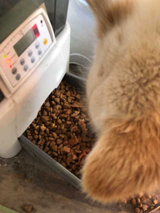 윤혜진님이 올린 리뷰 사진 2