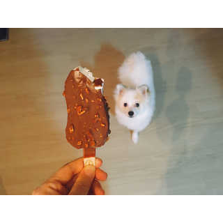 SeungYeonSeo님이 올린 리뷰 사진 2