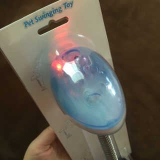 LunaHayes님이 올린 리뷰 사진 1