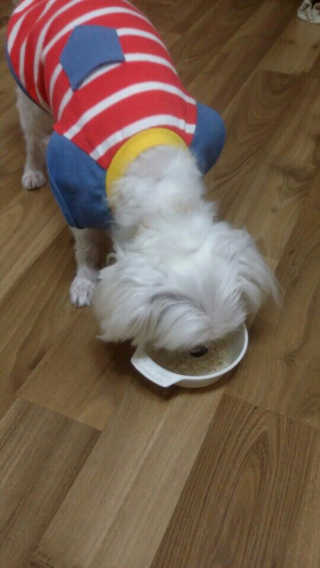 떠리님이 올린 리뷰 사진 2