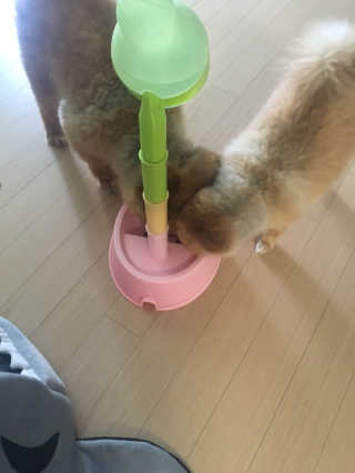 감자링님이 올린 리뷰 사진 2