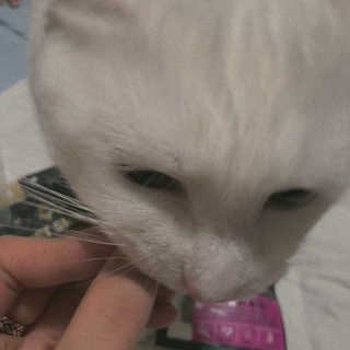혜혜쥔님이 올린 리뷰 사진 3