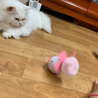 miyoooo님이 올린 리뷰 사진 3