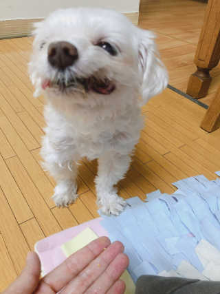 ejejejluv님이 올린 리뷰 사진 4