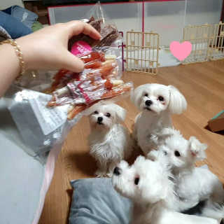숮이님이 올린 리뷰 사진 2