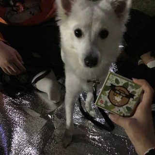윤잉님이 올린 리뷰 사진 2