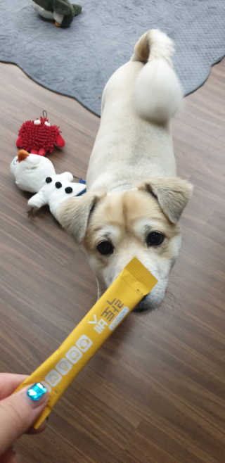 SOPHIAK님이 올린 리뷰 사진 1