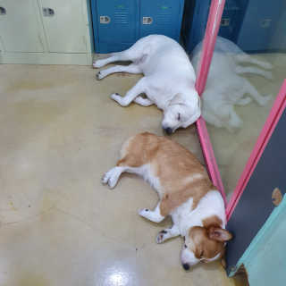 하경경경님이 올린 리뷰 사진 2